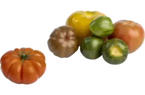 Inca mix tomaten grof